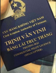 trinhvinh